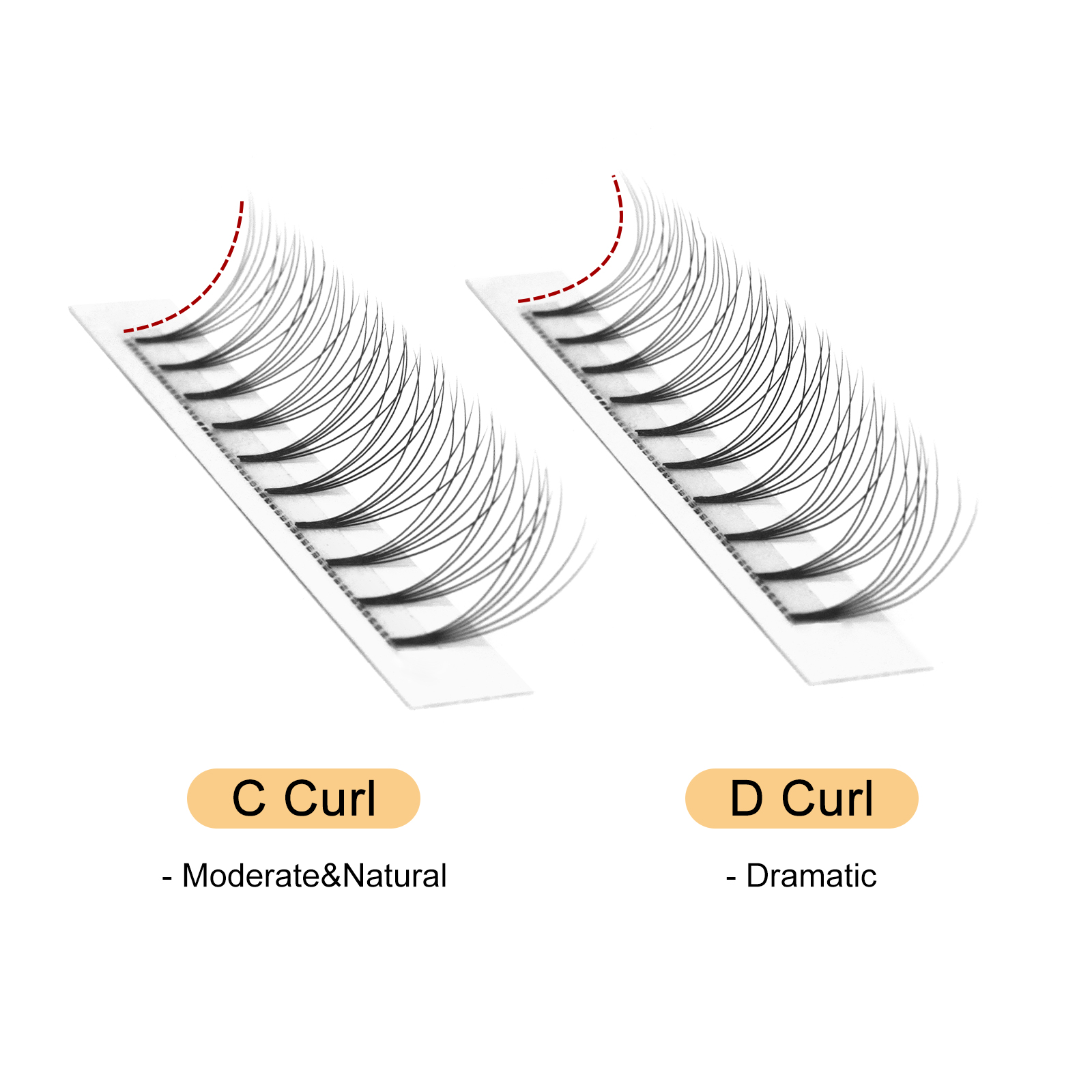 Quewel 既成ファンまつげ 8D/6D/5D/4D/3D - Eyelash Extension C Curl のレビューと価格