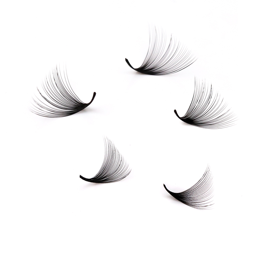 ラッシュプロフェッサーXLトレイ 3D 4D 5D 6D 7 - Mega Volume Lash のレビューと価格