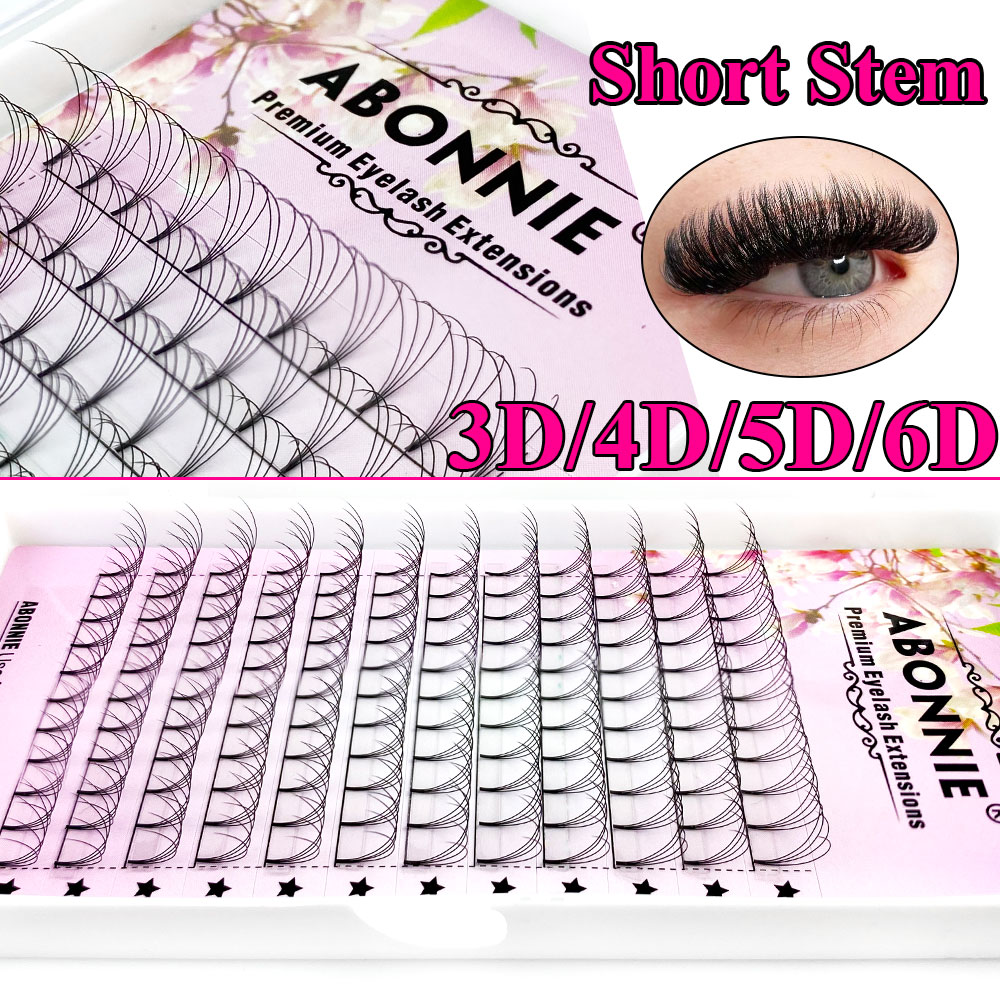 アボニー6Dナローファンプレメイドファン ロシアンボリューム - Eyelash Extension Russian Volume のレビューと価格
